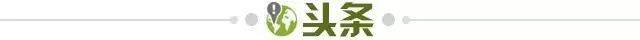 黄金甲体育-【早报】帕尔默大四喜，曼城二太子在蓝桥登基！